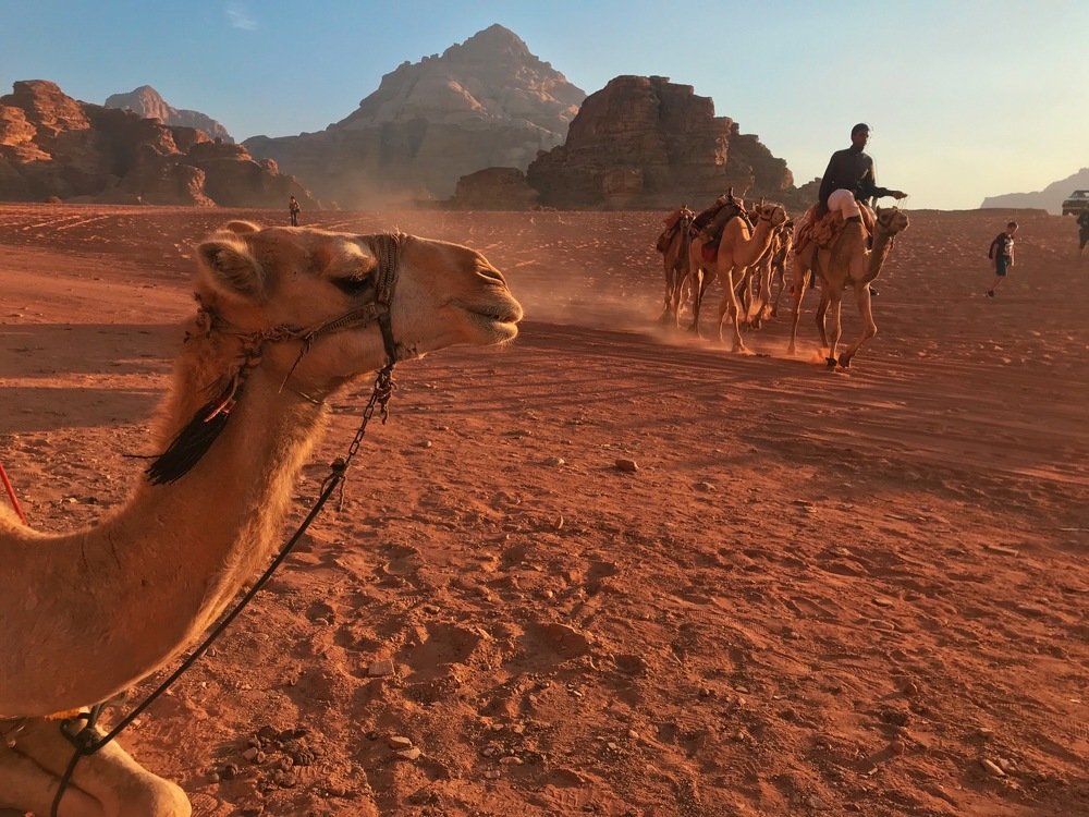 Photograph by Илана Миквабия