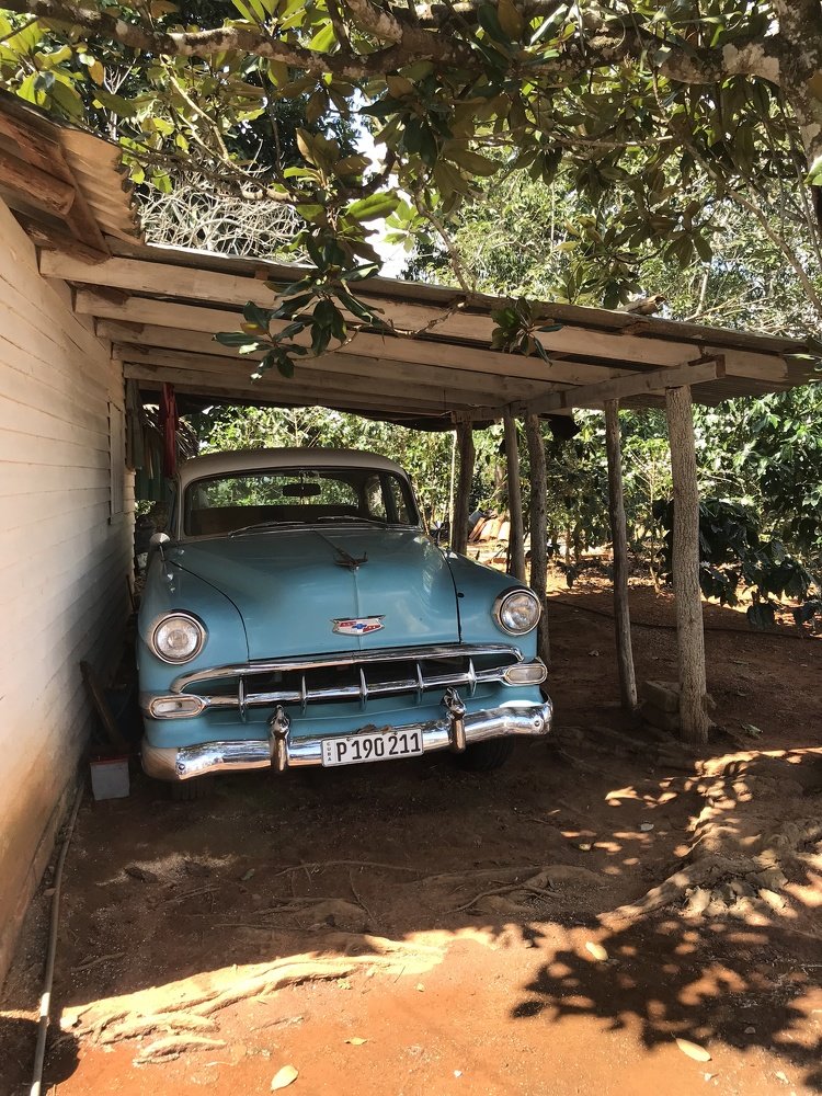 Фотография автора Мария Кондрацкая