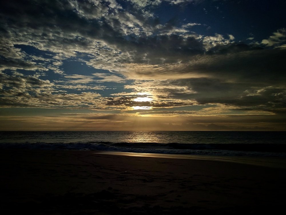 Photo #4444607