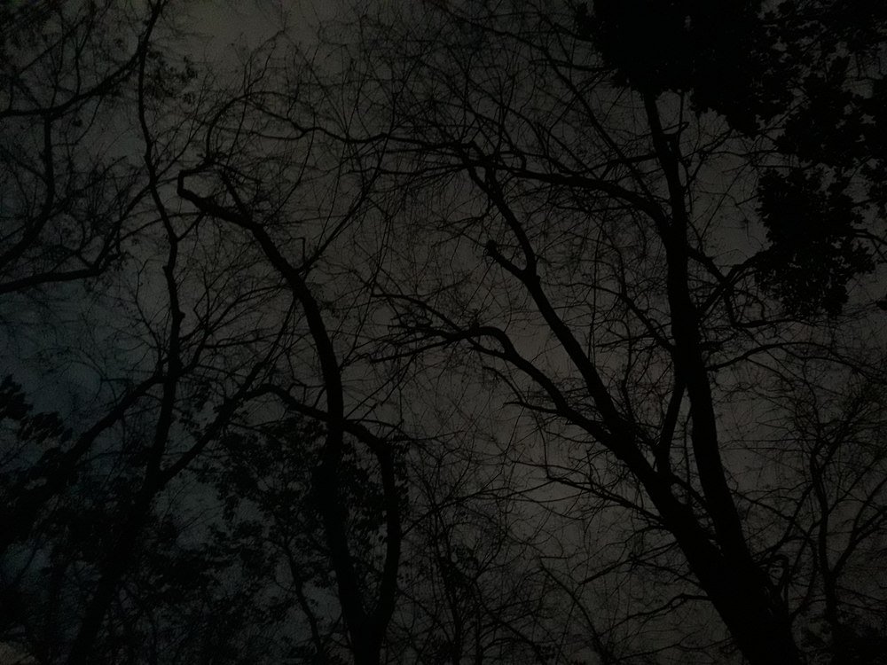 Evening Dark