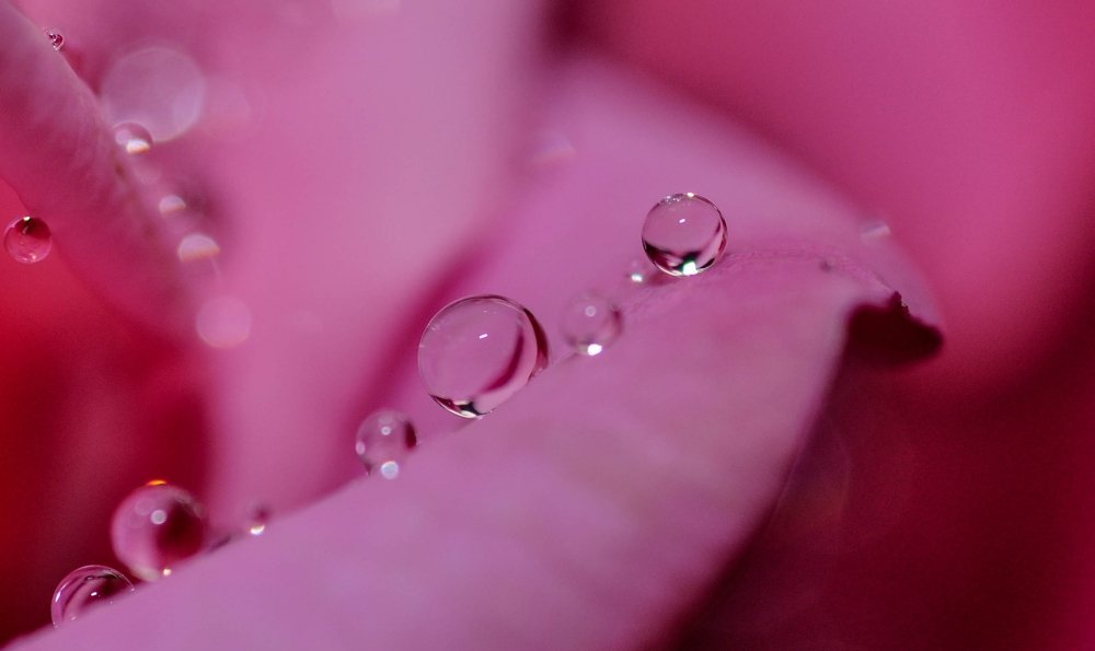 Photograph by Дмитрий Балатский