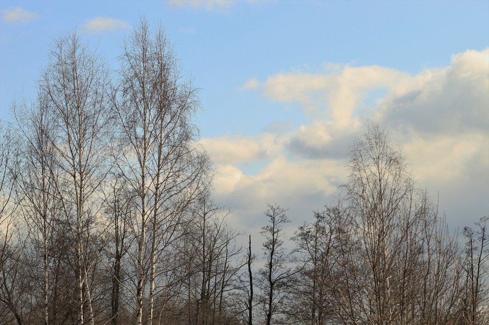 Photograph by Анастасия Рысь