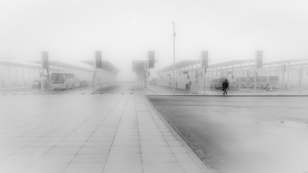 Photograph by Яэль (Юлия Ситохова)