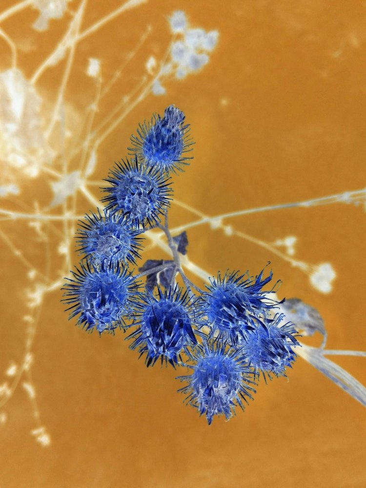 Photograph by Ирина Саттарова