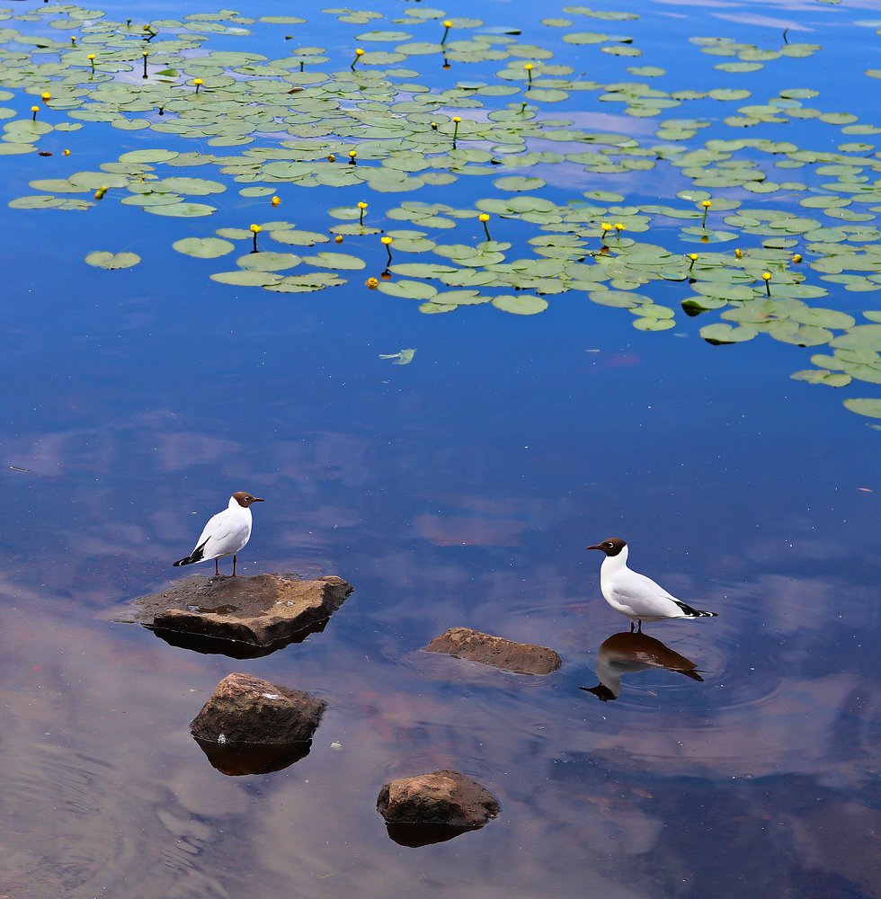 Photograph by Tatyana Semenova