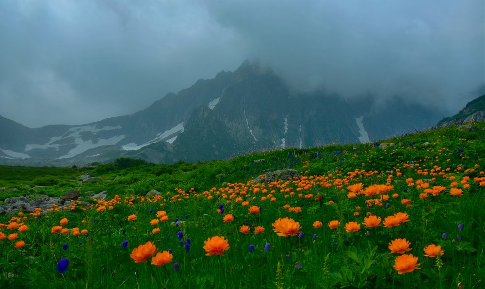 Кузнецкий Алатау: цветы и горы