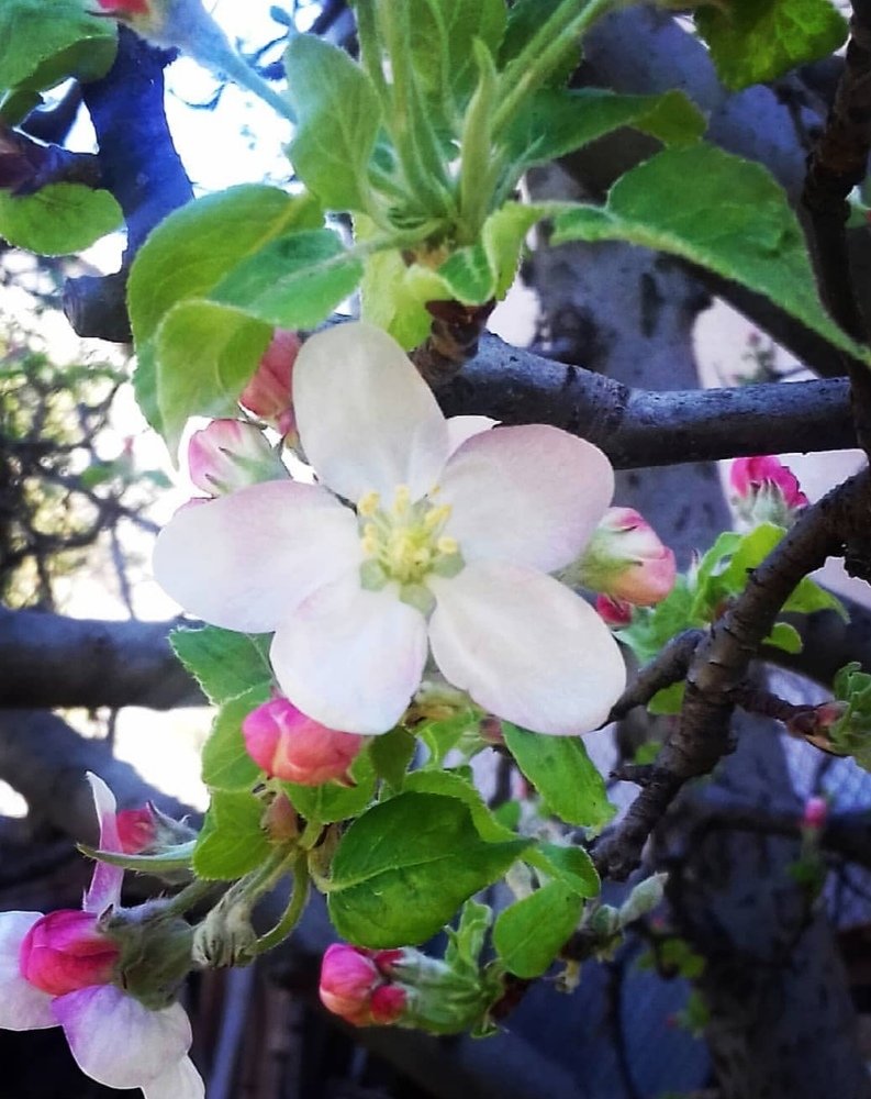 Photograph by Vesna Petkoska