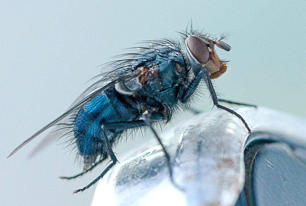 Photograph by Сергей Савенков