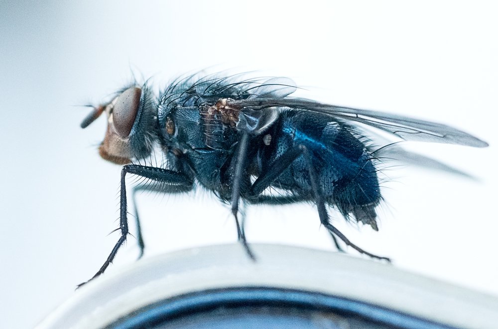 Photograph by Сергей Савенков