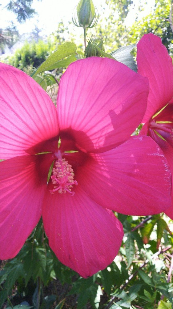 Photograph by Павел Лосев