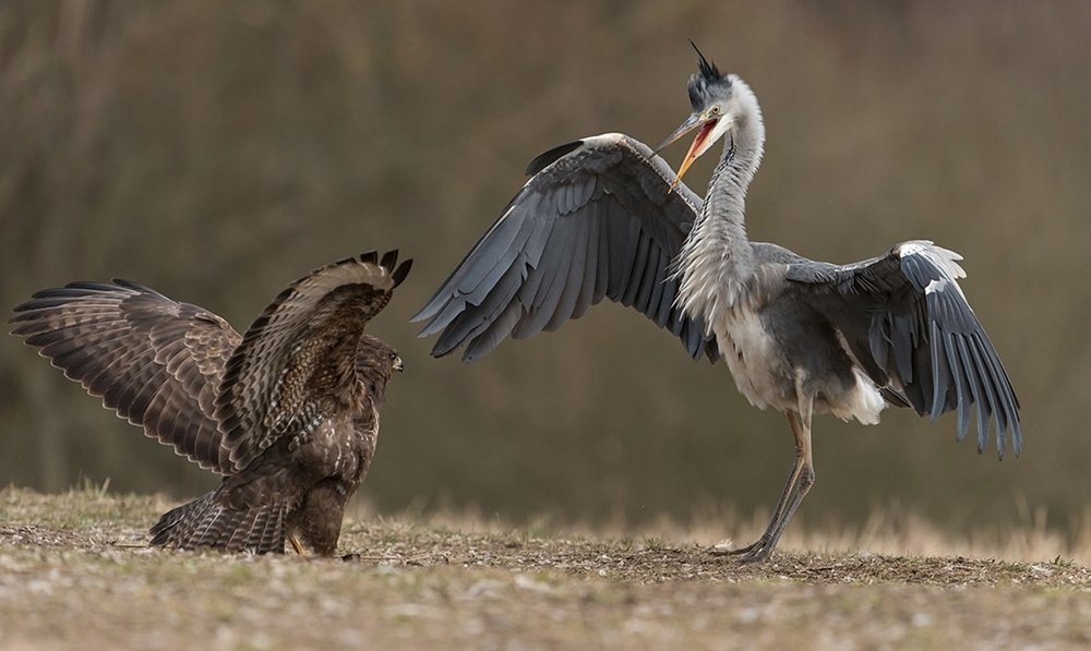 Photograph by Marek Wysocki