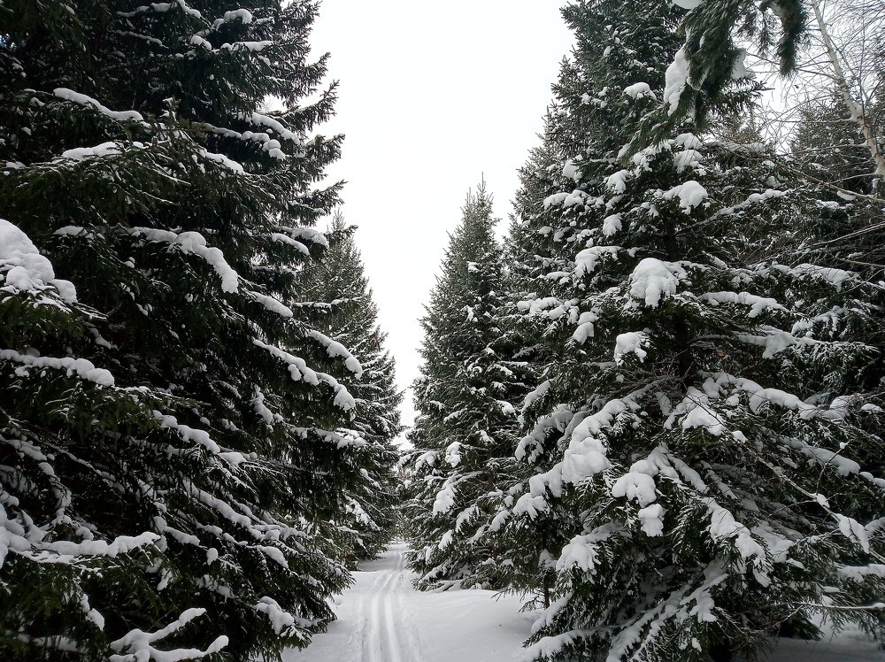 Photograph by Лариса Капустина