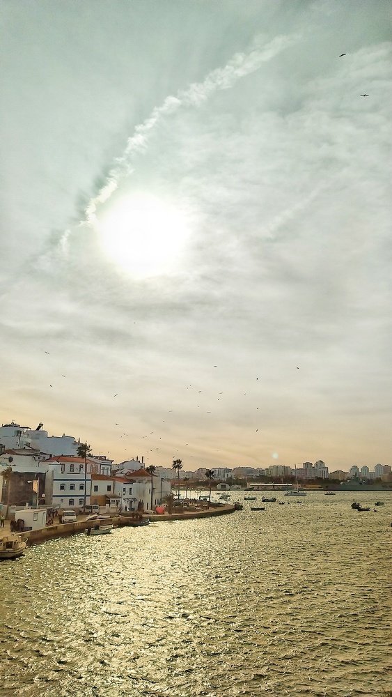 Photograph by Mister Ra)