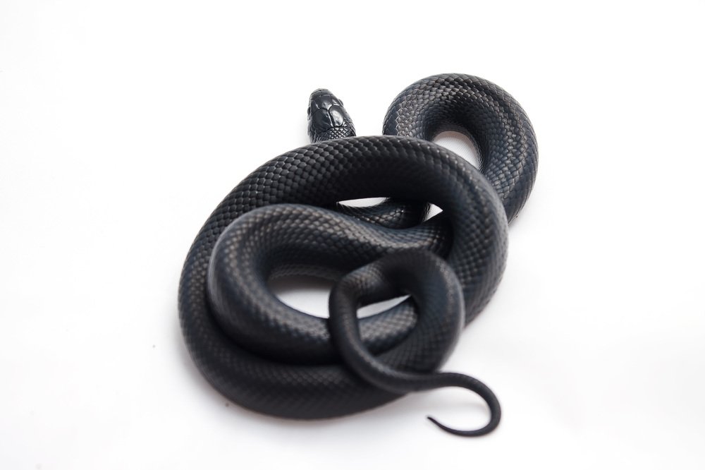 Photograph by Ольга Сельницына