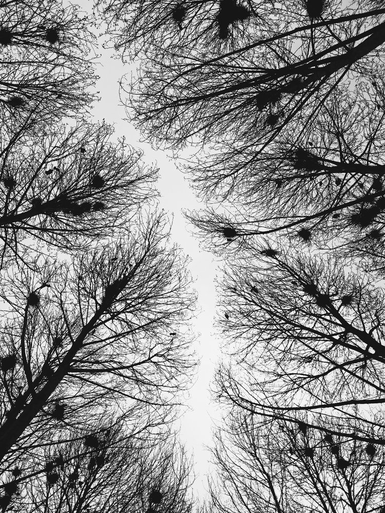 Photograph by kamiar hoseinipour