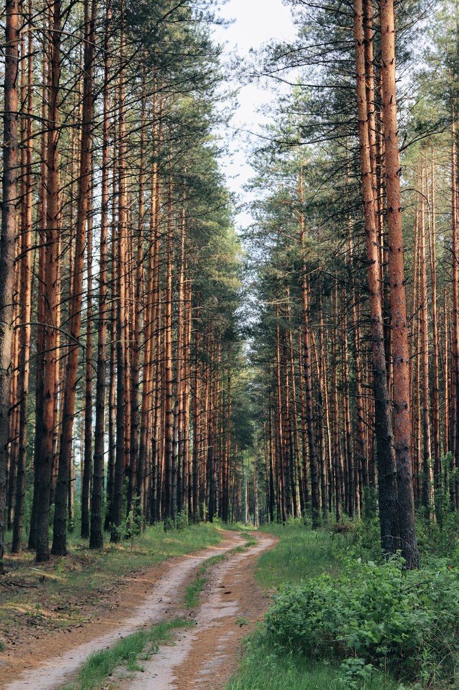 Photograph by Екатерина Лесная