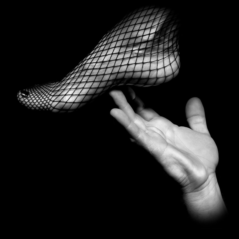 Photograph by Rumen Kurtev