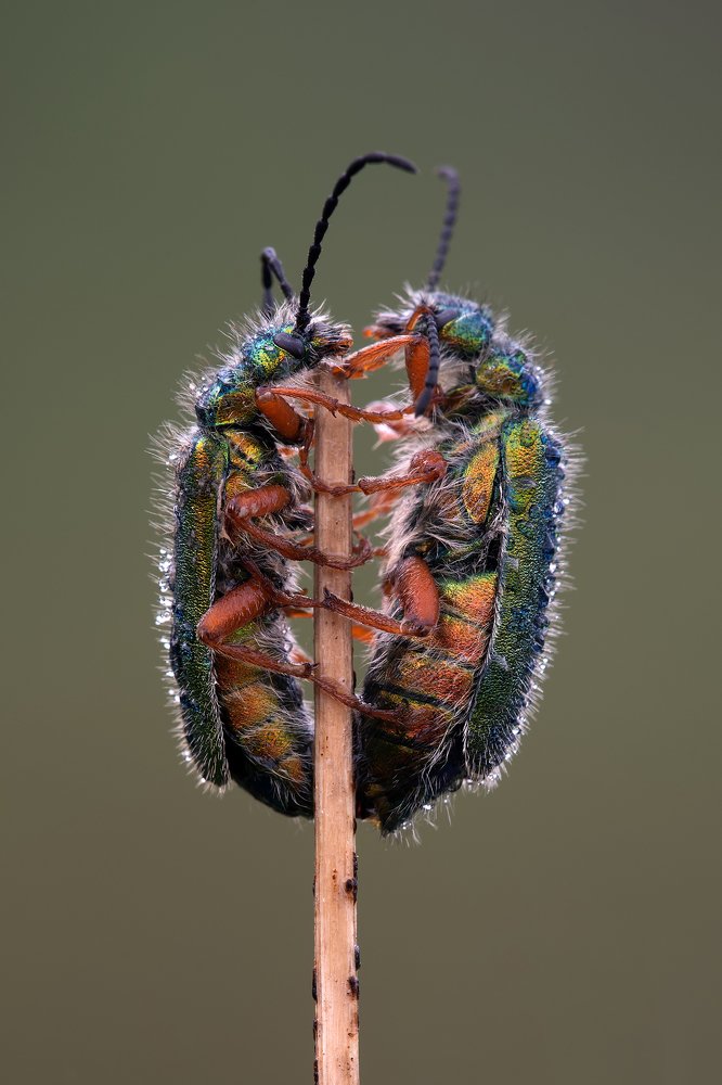 Photograph by Игорь ФУММ