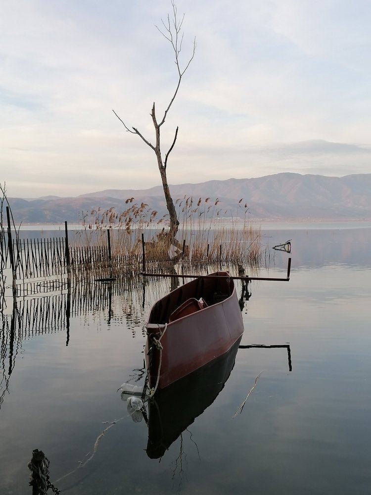 Photograph by Daniela Stanojkovska