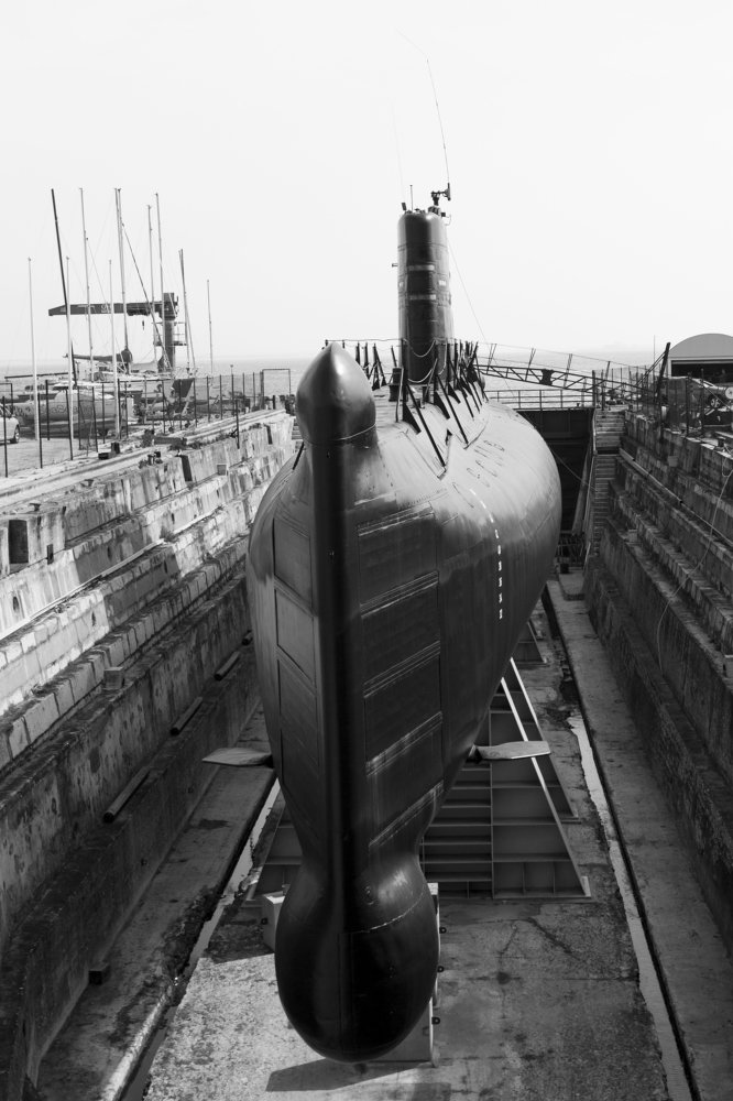 Photograph by Carlos Alberto Sequeira