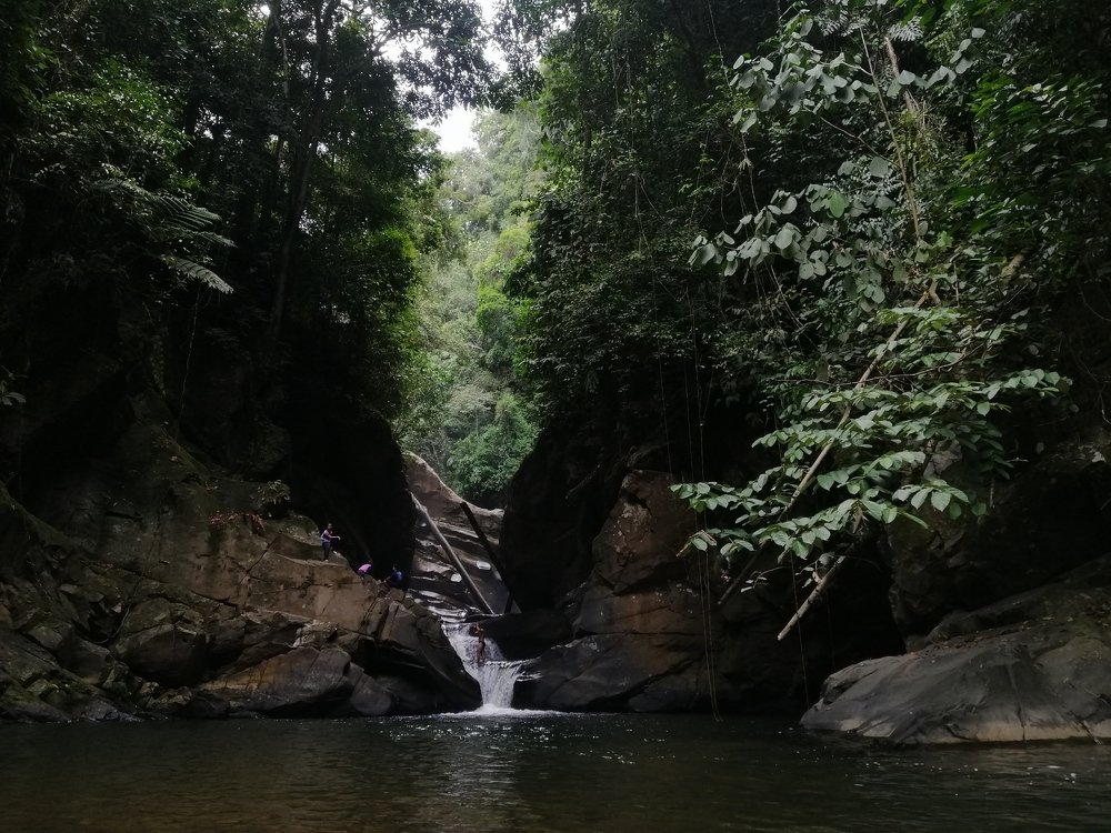 Photo #4445622