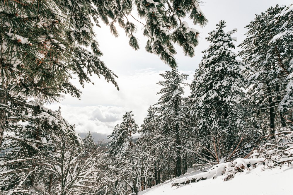 Photograph by Константин Аношин