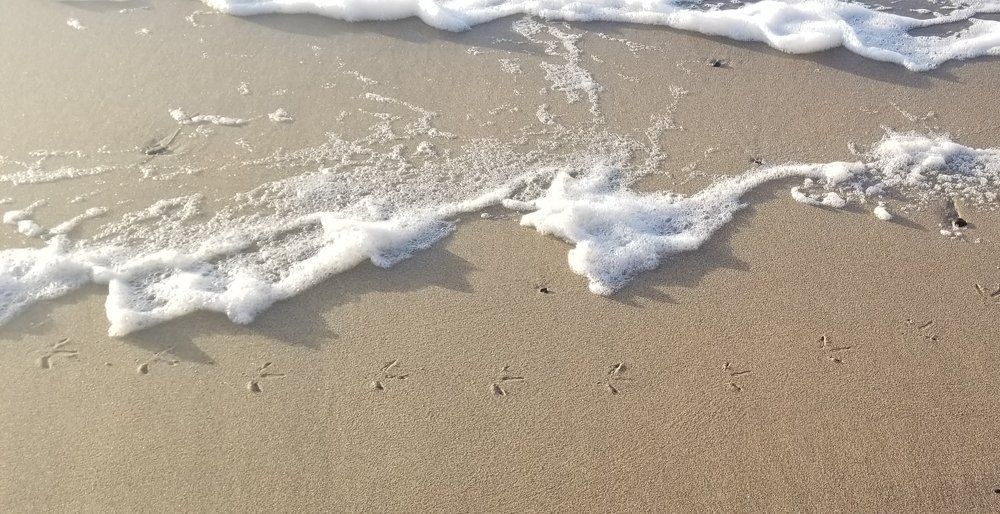 Photograph by Michelle Vaughn