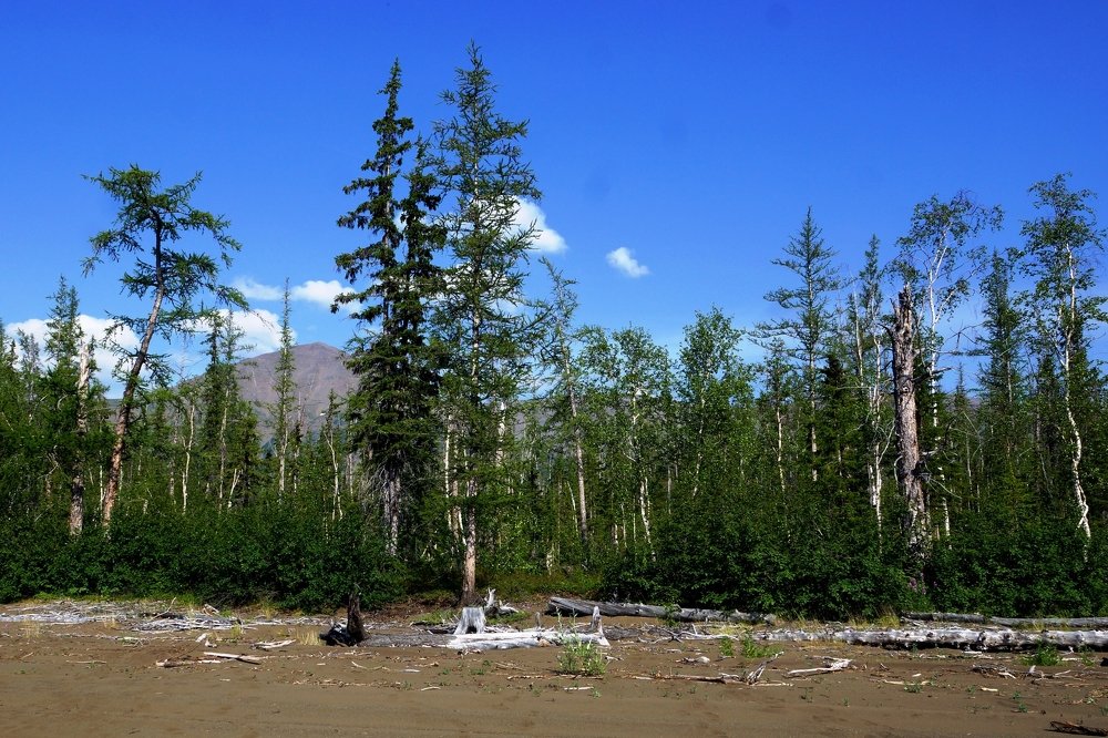 Необитаемый берег