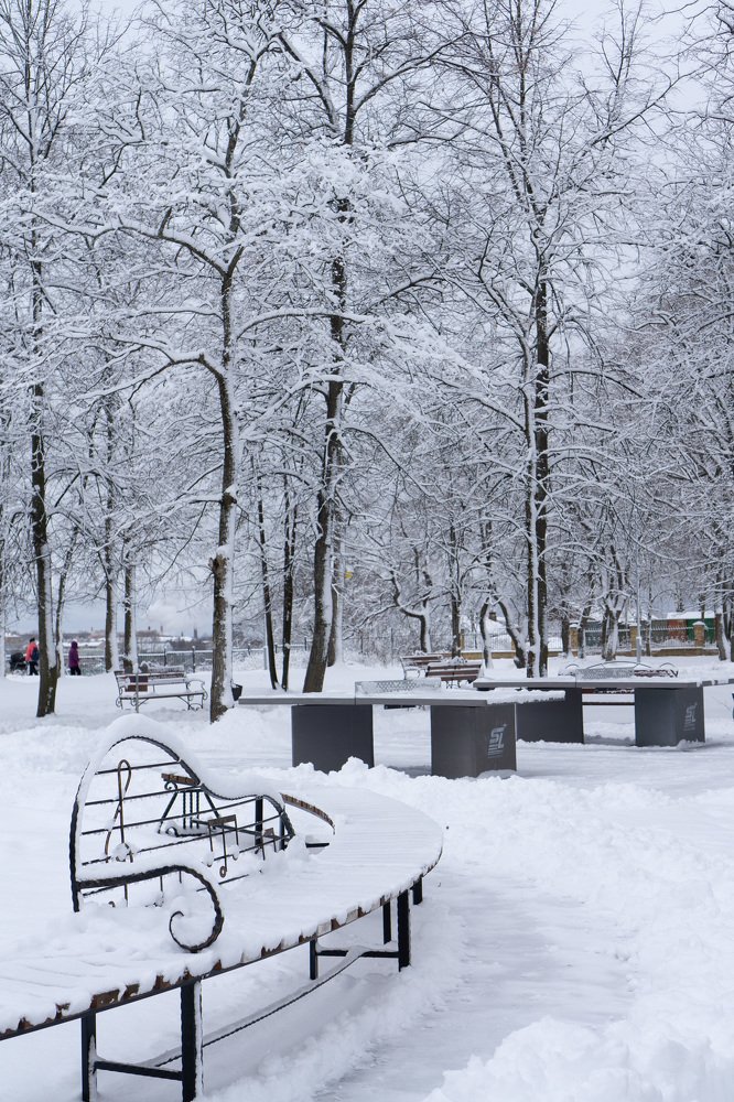 Зимняя мелодия