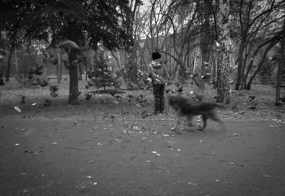 Photograph by Сергей Захаров