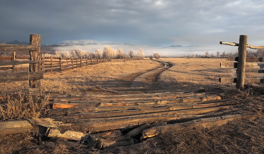 Photograph by Александр Попов