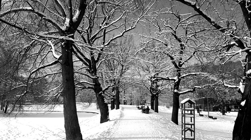 Photograph by Борис Каширин