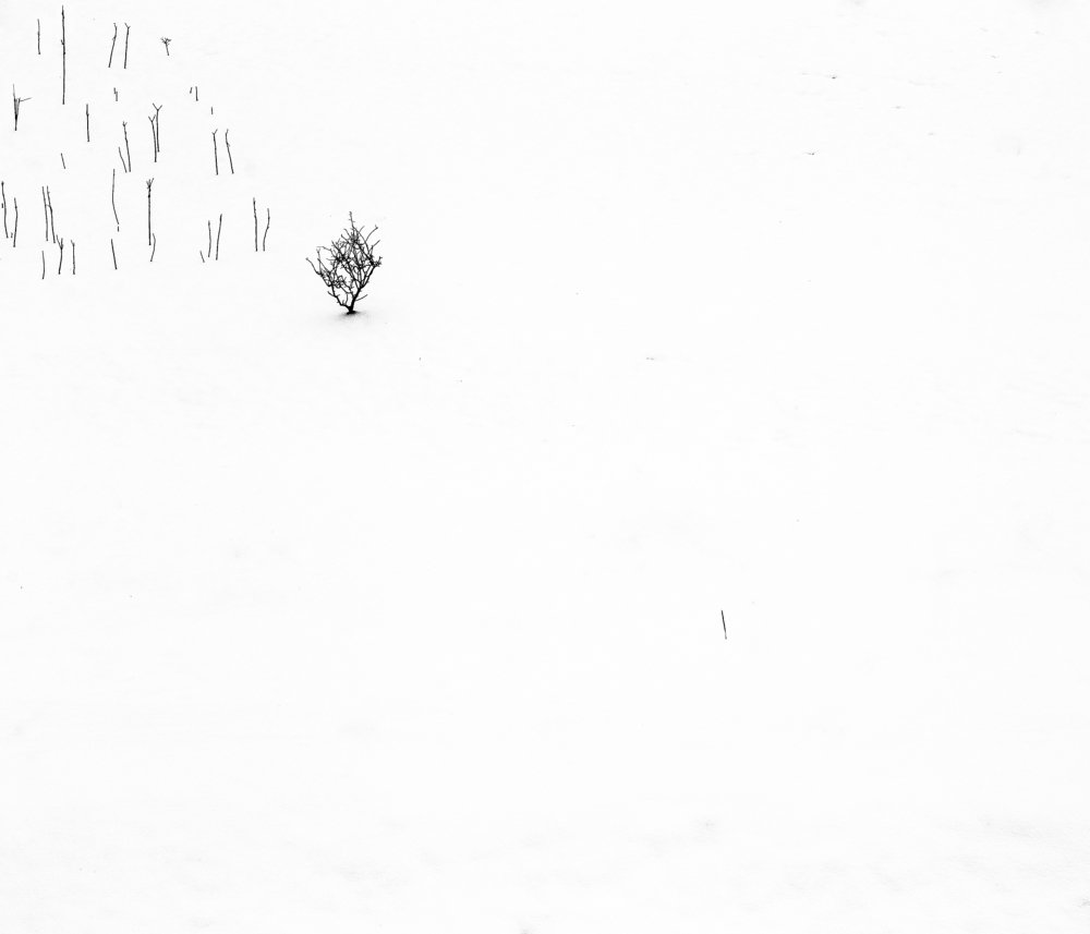 Photograph by Nikifor Todorov