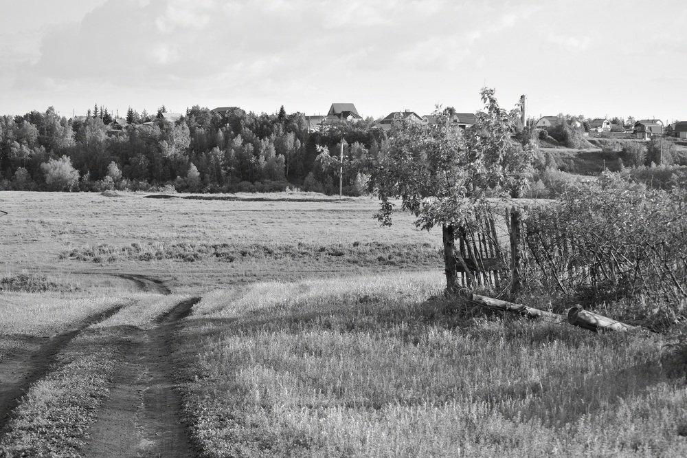 Photograph by Андрей Усов