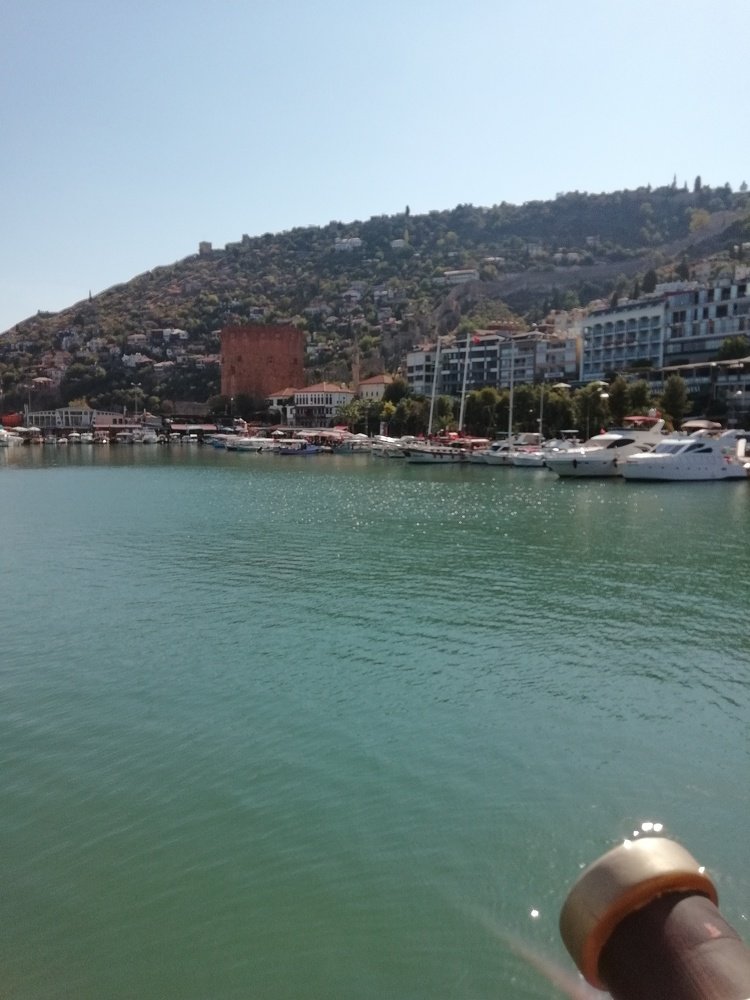 Photo #4446127