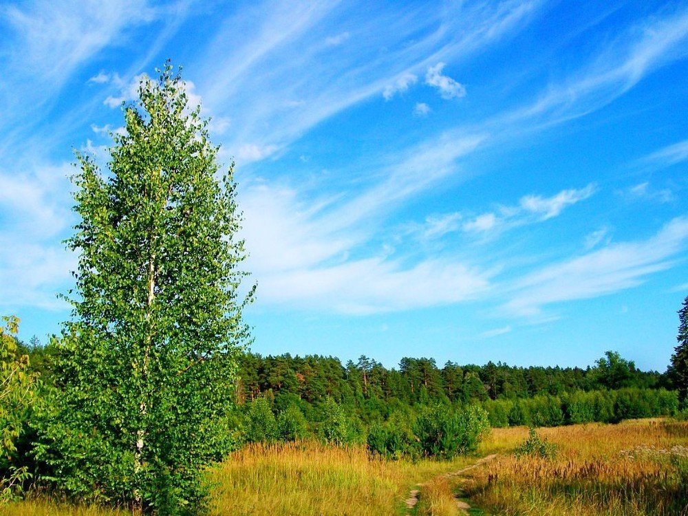 Photograph by Александр Бровкин