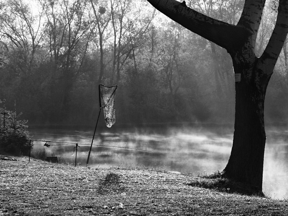 Photograph by Vladimír Hudeček