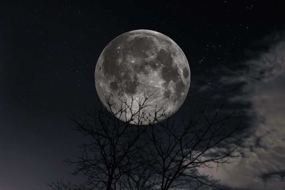 Photograph by Sameer sharma Danai