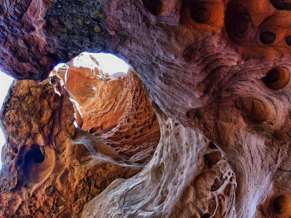 Photograph by Josep M. Bove Veciana