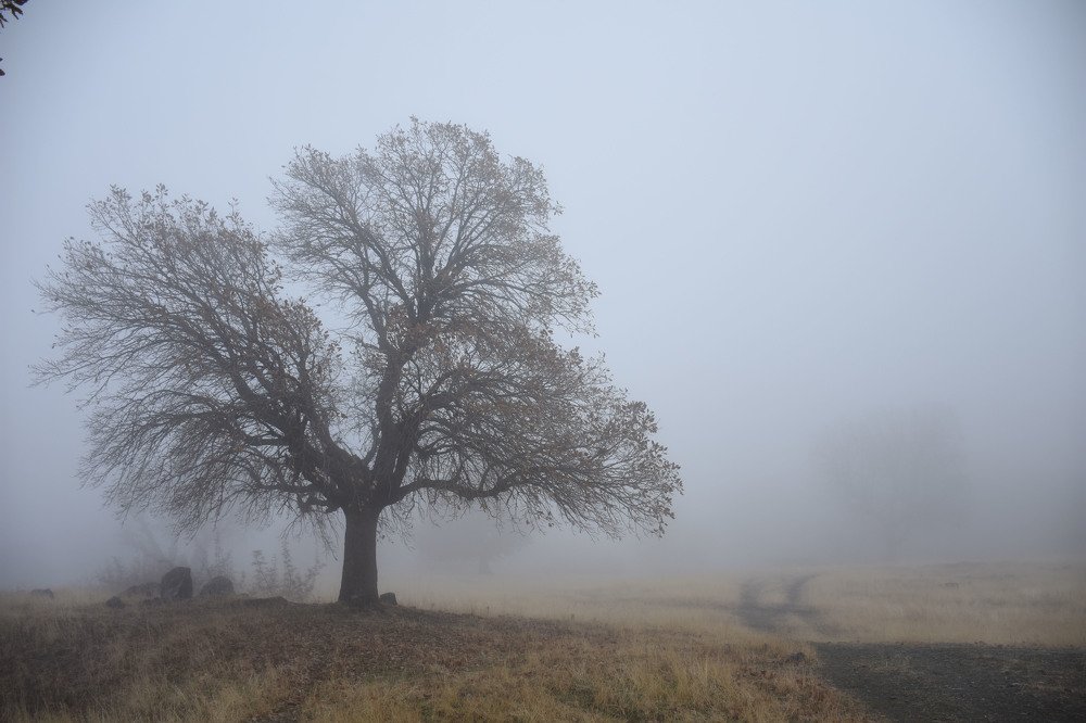 Photograph by faiaq ary