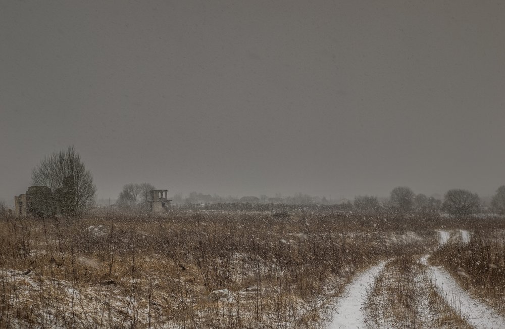 Photo #4446482