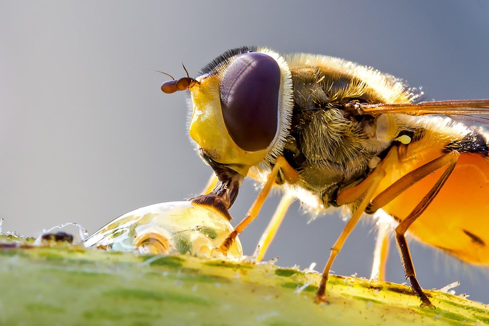 Photograph by Сергей Крышен