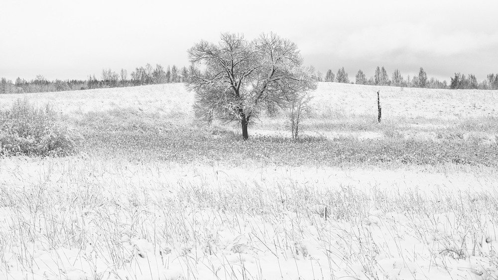 Photograph by Землянский Сергей