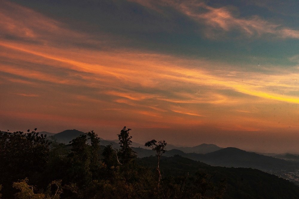 Photograph by Татьяна Предеина