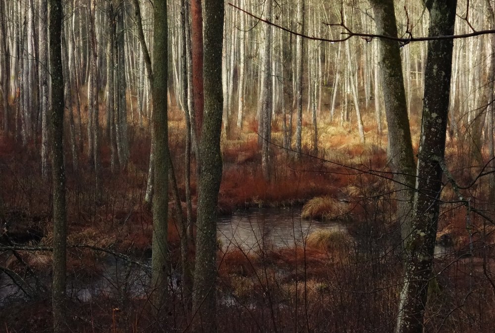 Фотография автора ТАТЬЯНА ЗАХАРОВА