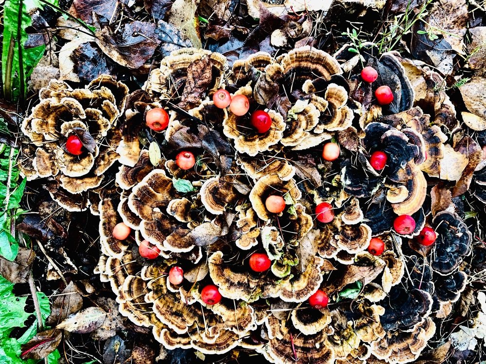 Photograph by Светлана Хохлова