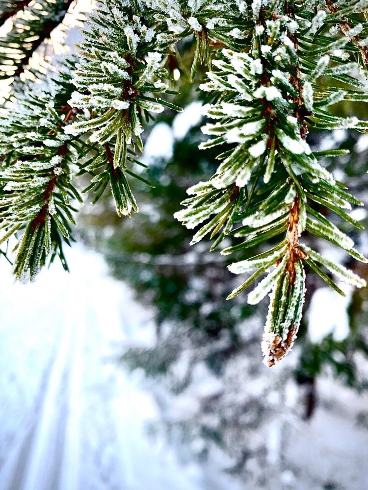 Photograph by Светлана Хохлова