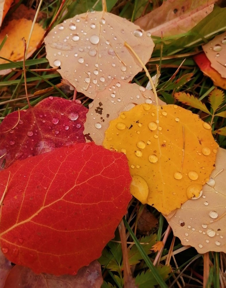 Photograph by Лена