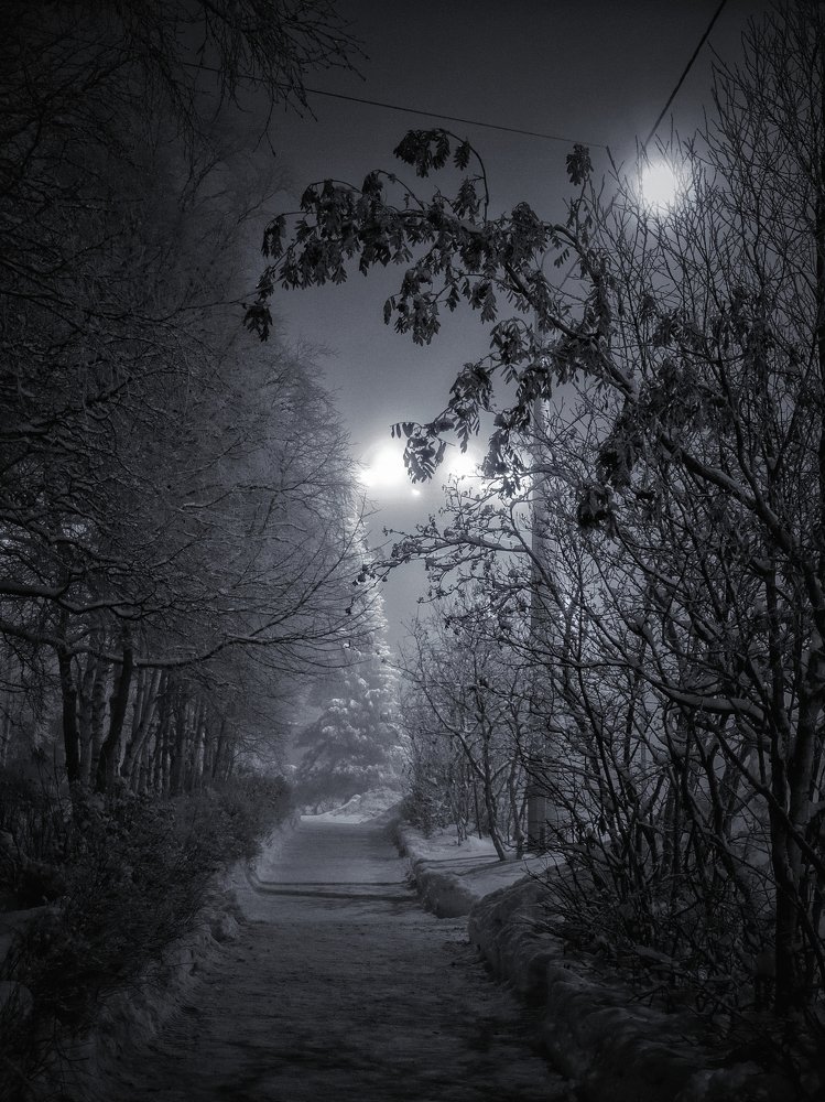 Туманный вечер