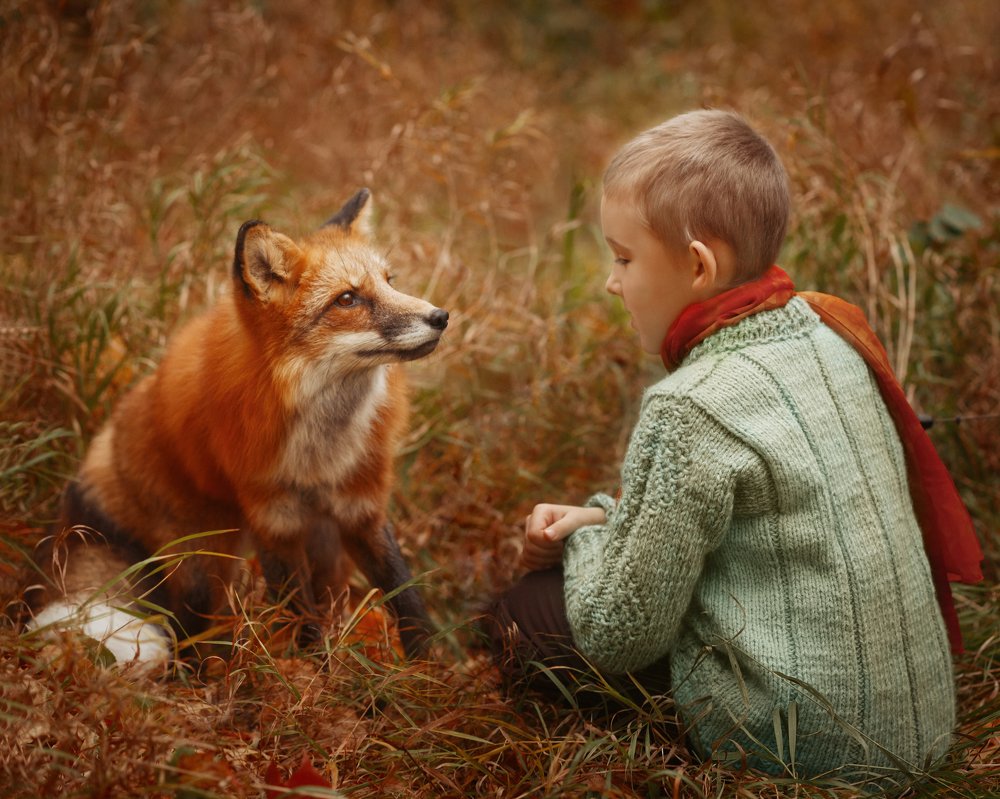 Photograph by Татьяна Доколина